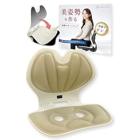 Amazon.co.jp: バランスチェア - オフィスチェア: 文房具・オフィス用品